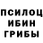 Галлюциногенные грибы Cubensis nikolai golcev