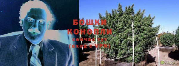 ПСИЛОЦИБИНОВЫЕ ГРИБЫ Дмитровск