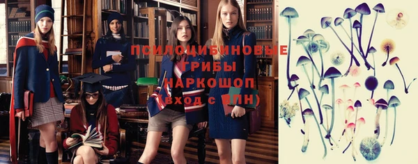 марки nbome Дмитриев