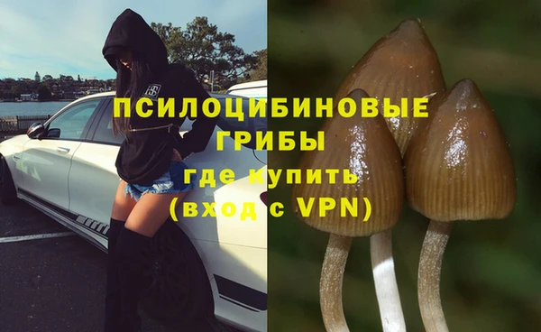 марки nbome Дмитриев